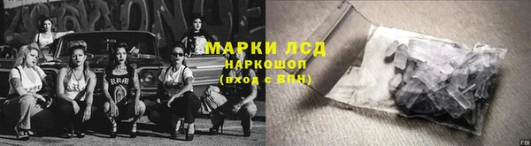 СК Алзамай