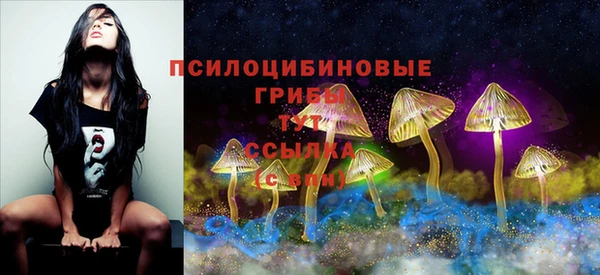 СК Алзамай